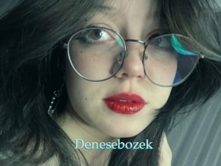 denesebozek 1 grosse cochonne