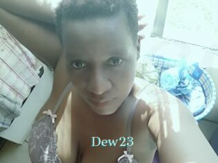 Dew23
