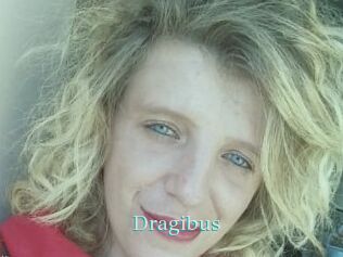 Dragibus