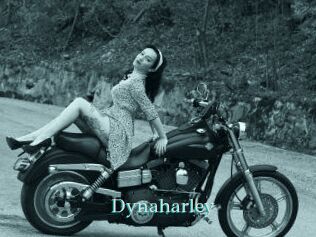 Dynaharley