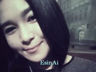 EsinAi
