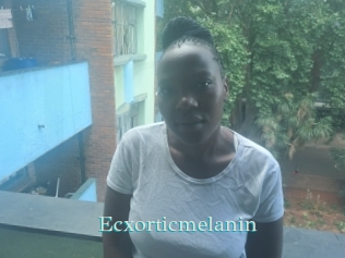 Ecxorticmelanin