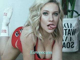 Eeveecass