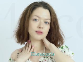 Elenecaris