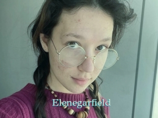 Elenegarfield