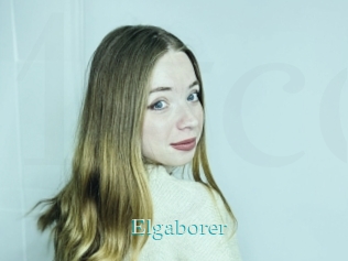 Elgaborer