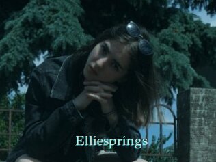 Elliesprings