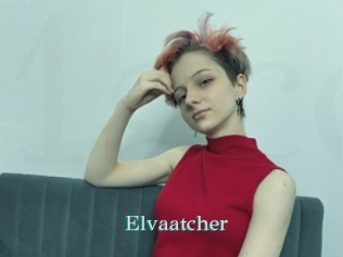 Elvaatcher