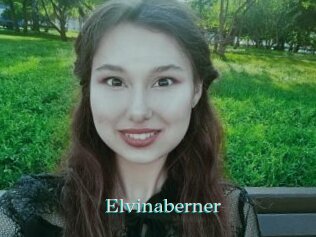 Elvinaberner