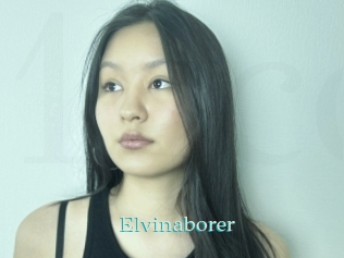 Elvinaborer