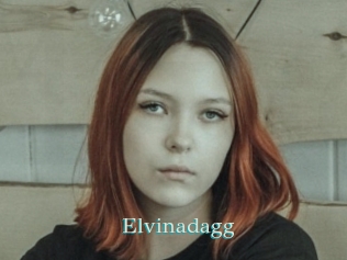 Elvinadagg