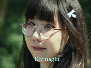 Elvinagitt