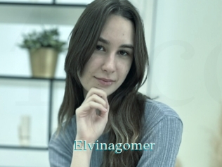 Elvinagomer