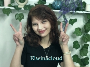 Elwinacloud