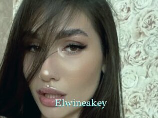 Elwineakey