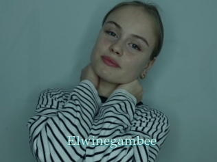 Elwinegambee