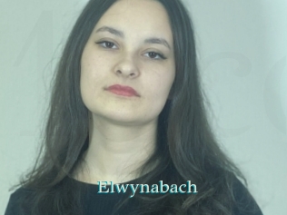 Elwynabach