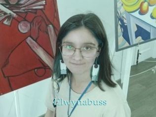 Elwynabuss