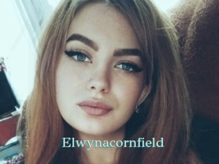 Elwynacornfield
