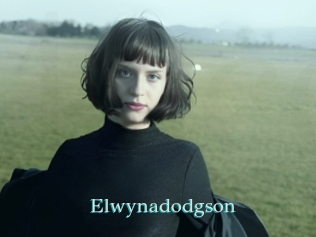 Elwynadodgson