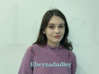 Elwynadudley