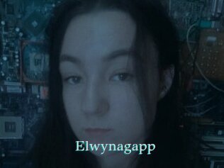 Elwynagapp