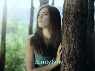 Emilyflow