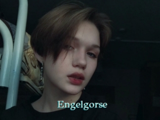 Engelgorse