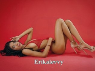 Erikalevvy