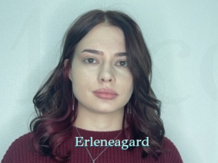 erleneagard 1 grosse cochonne