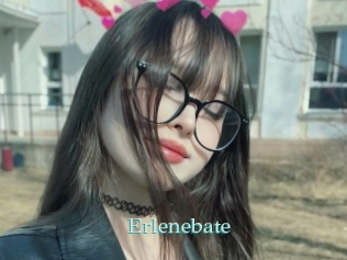 Erlenebate