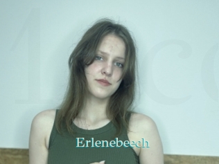 Erlenebeech