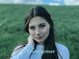 Erlenegomer