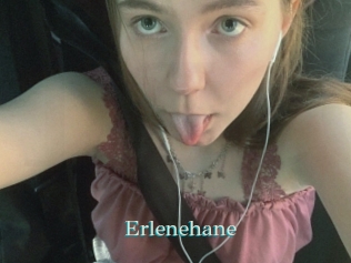 Erlenehane