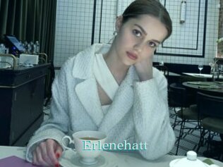 Erlenehatt