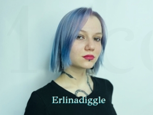 Erlinadiggle