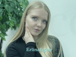 Erlinafugler