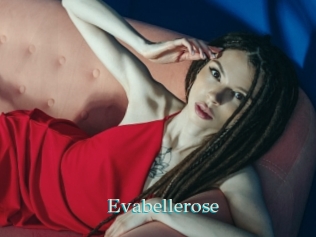 Evabellerose