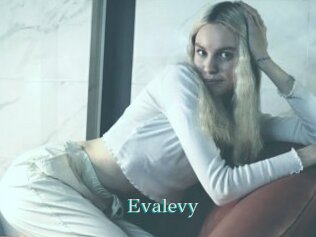 Evalevy
