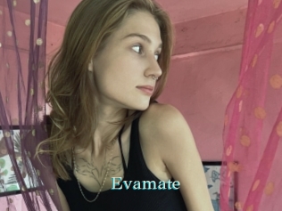 Evamate