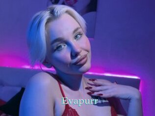Evapurr