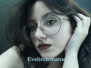 Evelindemanto