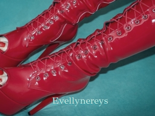 Evellynereys