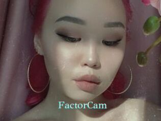 FactorCam