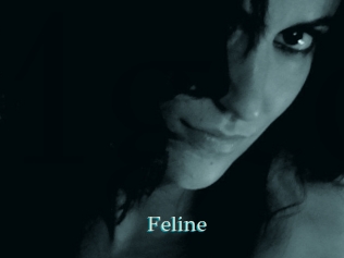 Feline 1 grosse cochonne