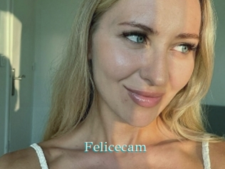 Felicecam