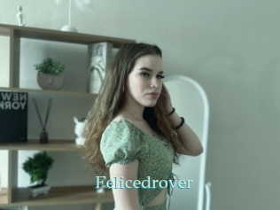 Felicedrover