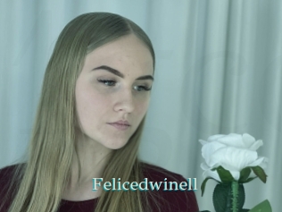 Felicedwinell