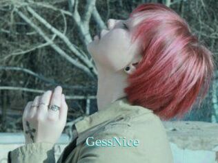 GessNice