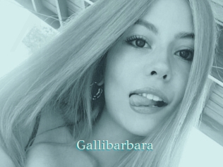 Gallibarbara